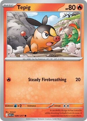 Tepig — 029/217 — Normal